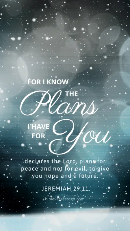 Snowfall Jer 29 11 Encouraging Bible Verses