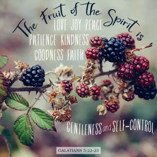 Galatians 5:22-23 - Fruit of the Spirit - Bible Verses To Go