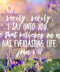 John 6:47 - Everlasting Life - Bible Verses To Go