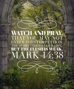 Mark 14:38 - Watch and Pray - Bible Verses To Go