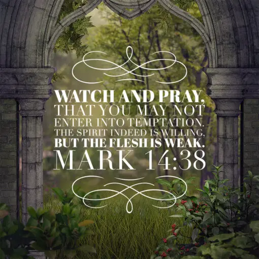 Mark 14:38 - Watch and Pray - Bible Verses To Go