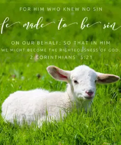 2 Corinthians 5:21 - For Him Who Knew No Sin - Bible Verses To Go