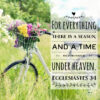 Ecclesiastes 3:1 - For Everything There Is a Season - Bible Verses To Go