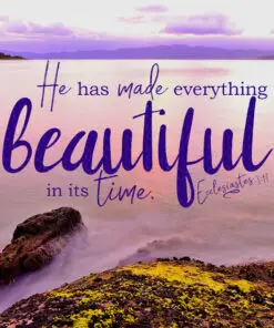Ecclesiastes 3:11 - Everything Beautiful in its Time - Bible Verses To Go