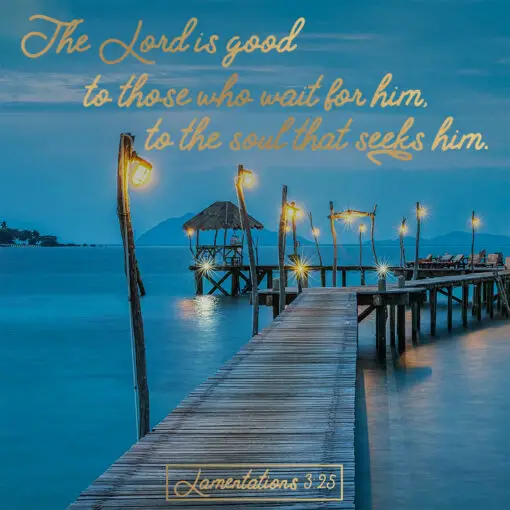 Lamentations 3:25 - The Lord is Good - Bible Verses To Go