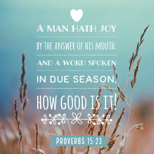 Proverbs 15:23 - A Man Hath Joy - Bible Verses To Go