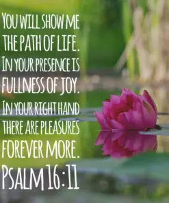 Psalm 16:11 - Fullness of Joy - Bible Verses To Go