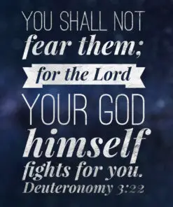 Deuteronomy 3:22 - God Fights for You - Bible Verses To Go