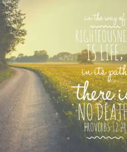 Proverbs 12:28 - Way of Righteouness - Bible Verses To Go