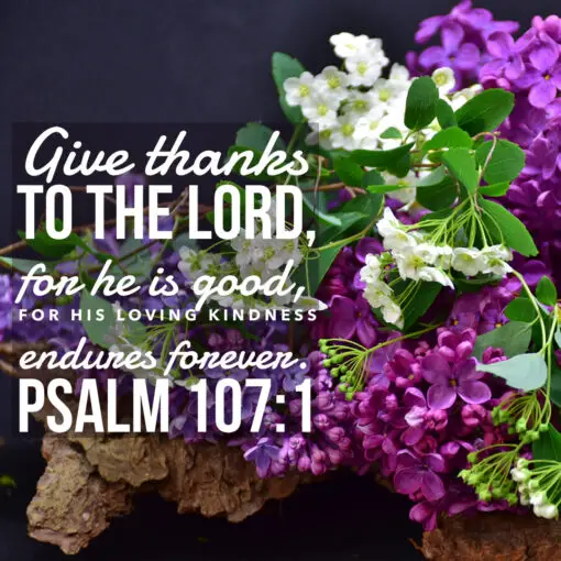 Psalm 107:1 - Loving Kindness Endures - Bible Verses To Go