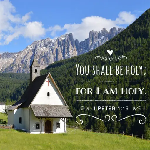 1 Peter 1:16 - Be Holy - Bible Verses To Go