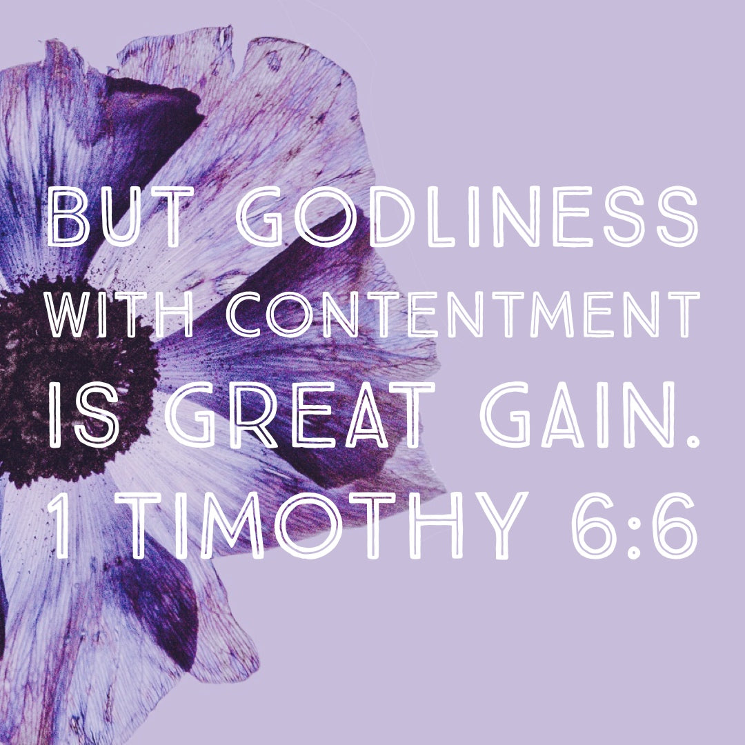 1 Timothy 6:6 Godliness – Encouraging Bible