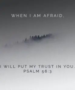 Psalm 56:3 - When I Am Afraid - Bible Verses To Go
