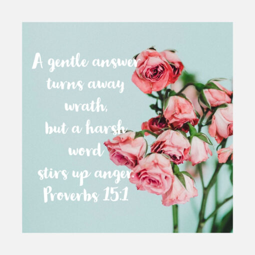 Proverbs 15:1 - A Gentle Answer - Bible Verses To Go