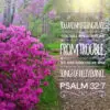 Psalm 32:7 - My Hiding Place - Bible Verses To Go
