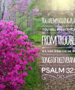 Psalm 32:7 - My Hiding Place - Bible Verses To Go