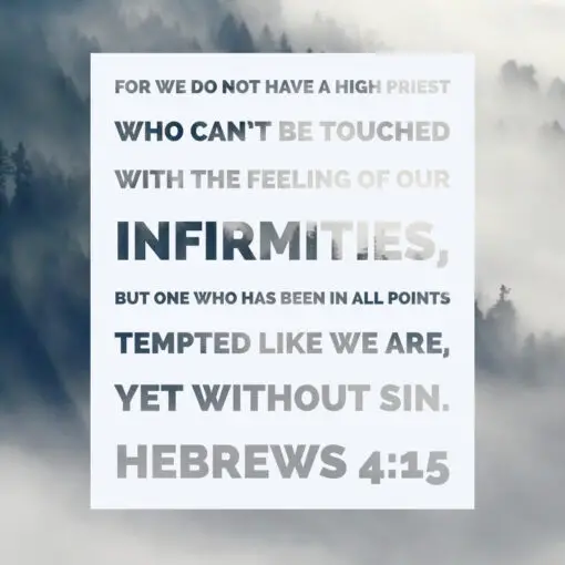 Hebrews 4:15 - Yet Without Sin - Bible Verses To Go