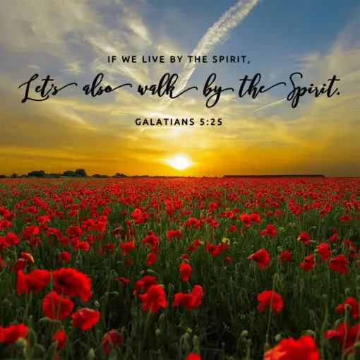 Galatians 5:25 - Walk by the Spirit - Bible Verses To Go