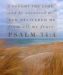 Psalm 34:4 - I Sought the Lord - Bible Verses To Go