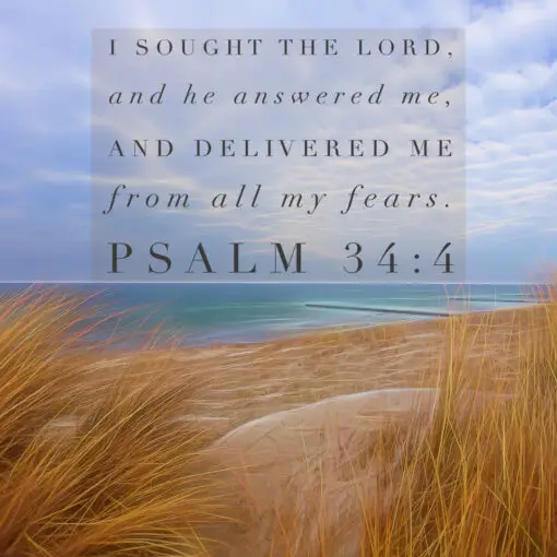 Psalm 34:4 - I Sought the Lord - Bible Verses To Go