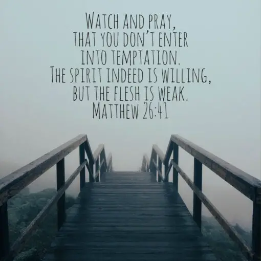 Matthew 26:41 - Watch and Pray - Bible Verses To Go