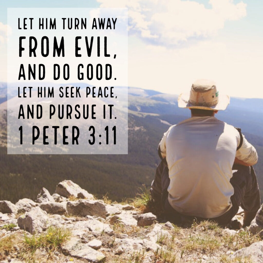 1-peter-3-11-seek-peace-and-pursue-it-encouraging-bible-verses