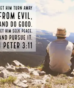 1 Peter 3:11 - Seek Peace and Pursue It