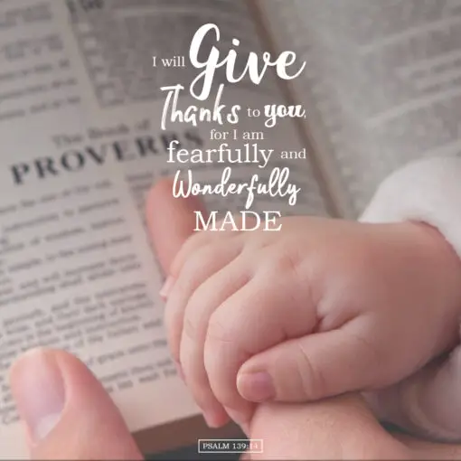 Psalm 139:14 - Wonderfully Made - Bible Verses To Go