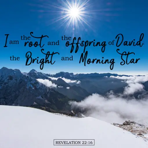 Revelation 22:16 - Bright Morning Star - Bible Verses To Go