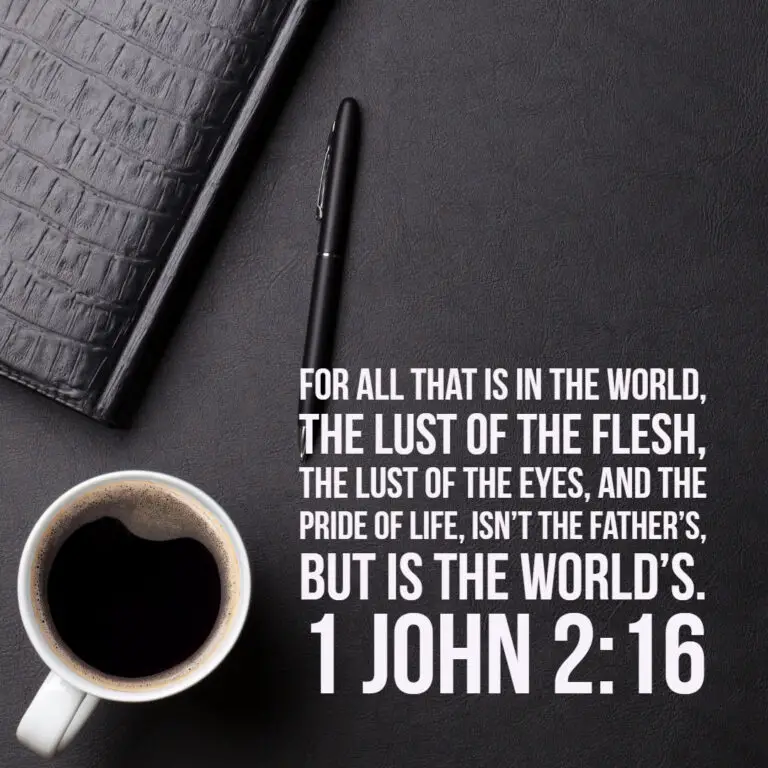 1 John 2:16 – Lust and Pride – Encouraging Bible Verses