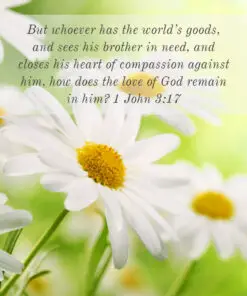 1 John 3:17 - Compassion for People's Needs - Bible Verses To Go