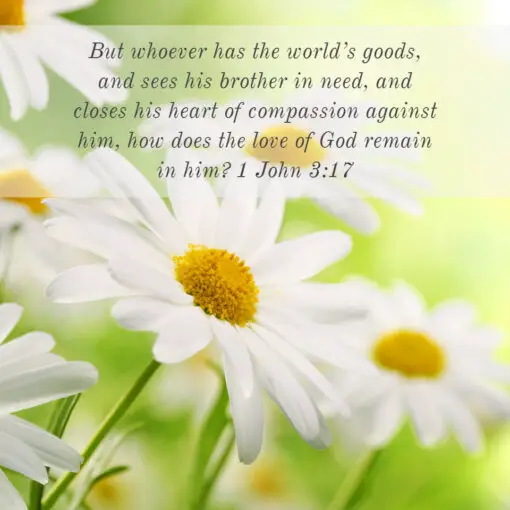 1 John 3:17 - Compassion for People's Needs - Bible Verses To Go