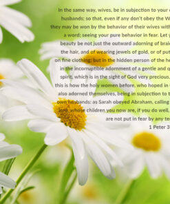 1 Peter 3:1-6 - Beauty More Than Adorning - Bible Verses To Go