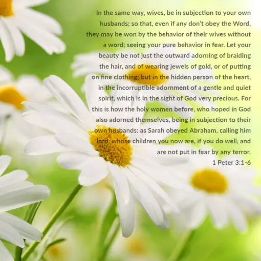1 Peter 3:1-6 - Beauty More Than Adorning - Bible Verses To Go