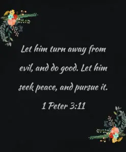 1 Peter 3:11 - Seek Peace and Pursue It - Bible Verses To Go
