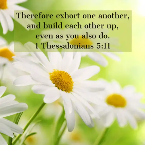 1 Thessalonians 5:11 - Build Each Other Up - Bible Verses To Go