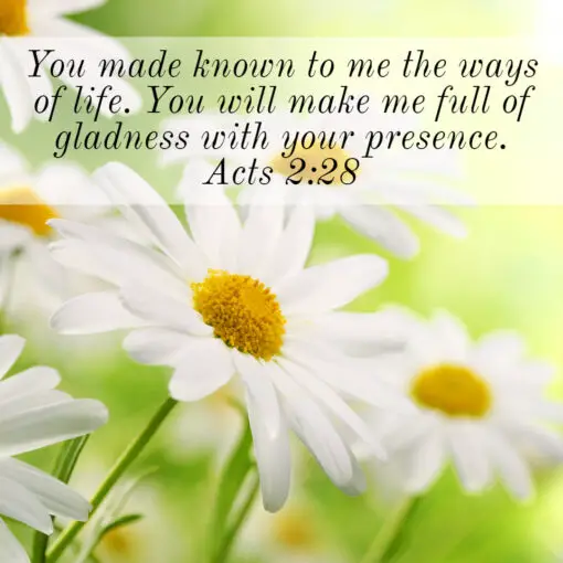 Acts 2:28 - Full of Gladness - Bible Verses To Go