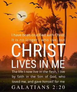 Christian Wallpaper - Africa Sunset Galatians 2:20