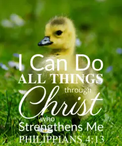 Christian Wallpaper – Baby Duck Philippians 4:13