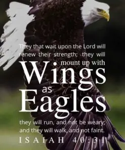 Christian Wallpaper - Bald Eagle Isaiah 40:31