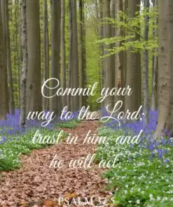 Christian Wallpaper - Beautiful Path Psalm 37:5