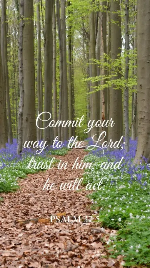 Christian Wallpaper - Beautiful Path Psalm 37:5