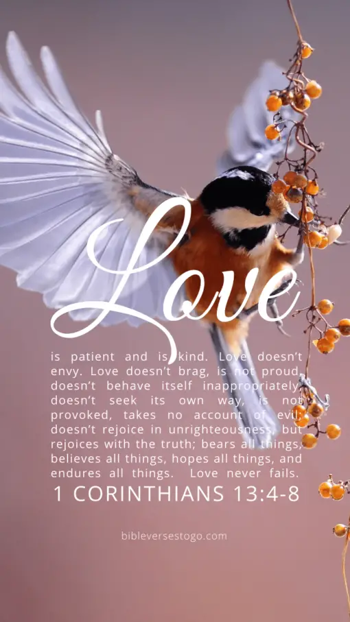 Christian Wallpaper – Birdflight 1 Corinthians 13:4-8