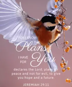 Christian Wallpaper – Birdflight Jeremiah 29:11