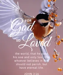 Christian Wallpaper – Birdflight John 3:16