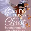 Christian Wallpaper – Birdflight Philippians 4:13