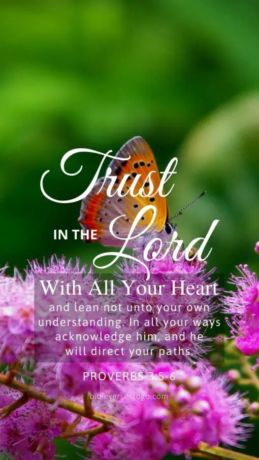 Christian Wallpaper – Butterfly Proverbs 3:5-6