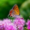 Christian Wallpaper – Butterfly Psalm 46:10
