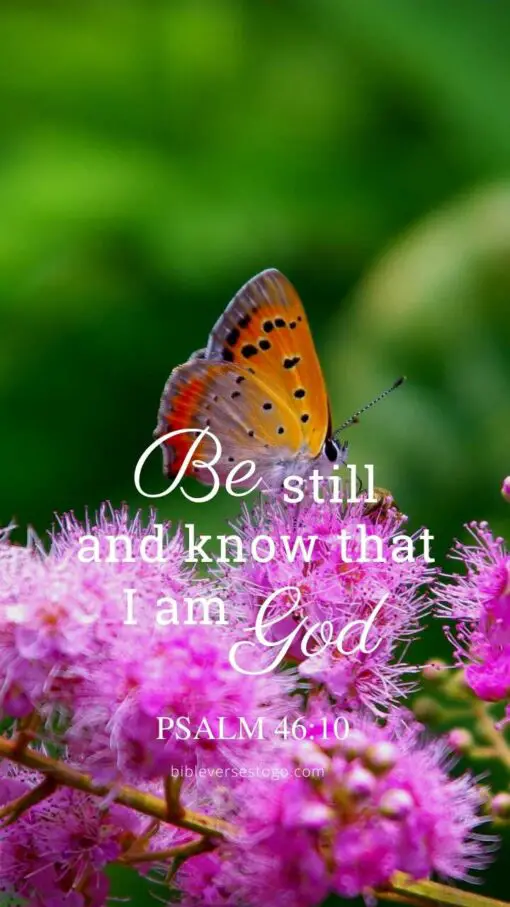 Christian Wallpaper – Butterfly Psalm 46:10