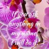 Christian Wallpaper - Butterfly Orchids John 14:14